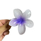 Women’s Colorful Flower Hair Barrettes