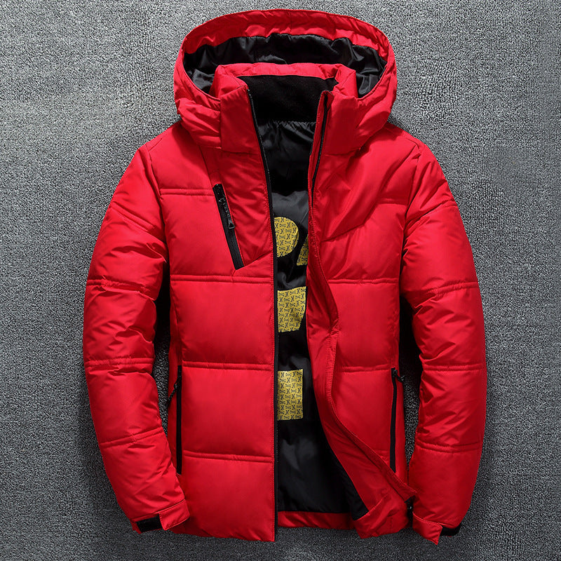 Down Men's Short Slim Hooded Jacket