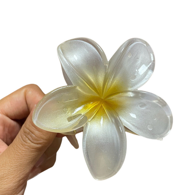 Women’s Colorful Flower Hair Barrettes