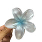 Women’s Colorful Flower Hair Barrettes