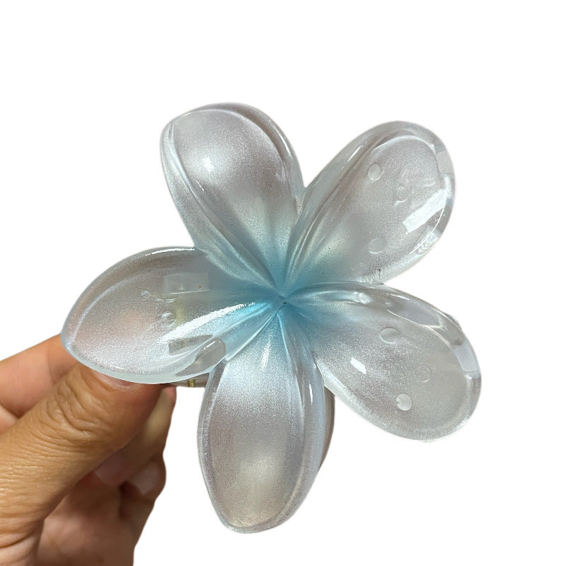 Women’s Colorful Flower Hair Barrettes