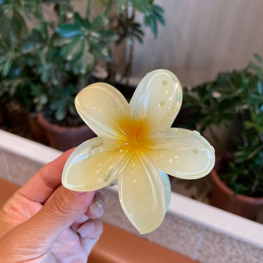 Women’s Colorful Flower Hair Barrettes