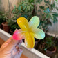 Women’s Colorful Flower Hair Barrettes