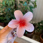 Women’s Colorful Flower Hair Barrettes