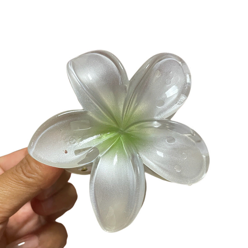 Women’s Colorful Flower Hair Barrettes