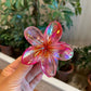 Women’s Colorful Flower Hair Barrettes