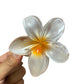 Women’s Colorful Flower Hair Barrettes